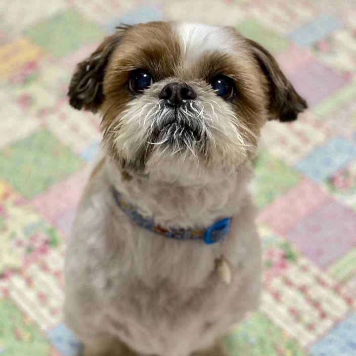 Ff37a986 5bd9 49e7 95c2 697c99c98b4f 1621140049603