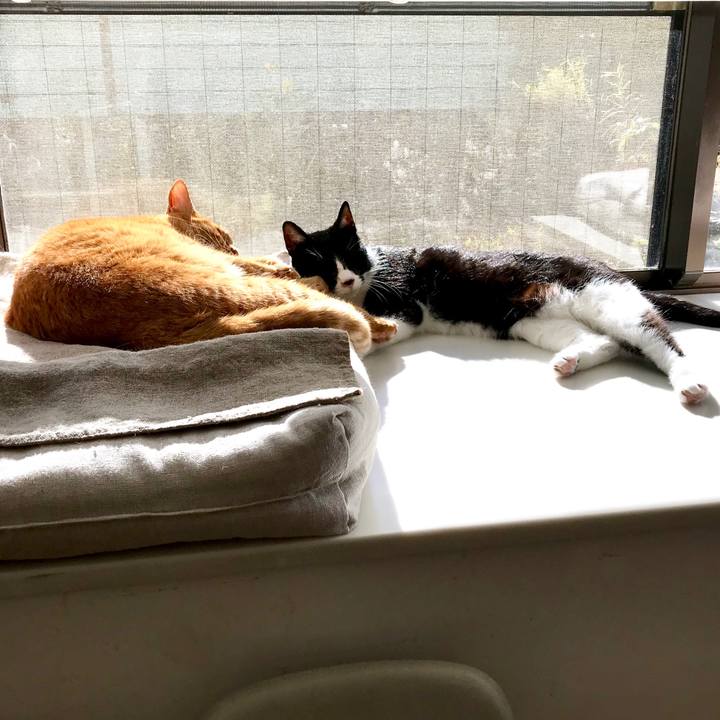 Ff37ac1b 84eb 4d81 b893 56ffaa8730a8 1512792005696