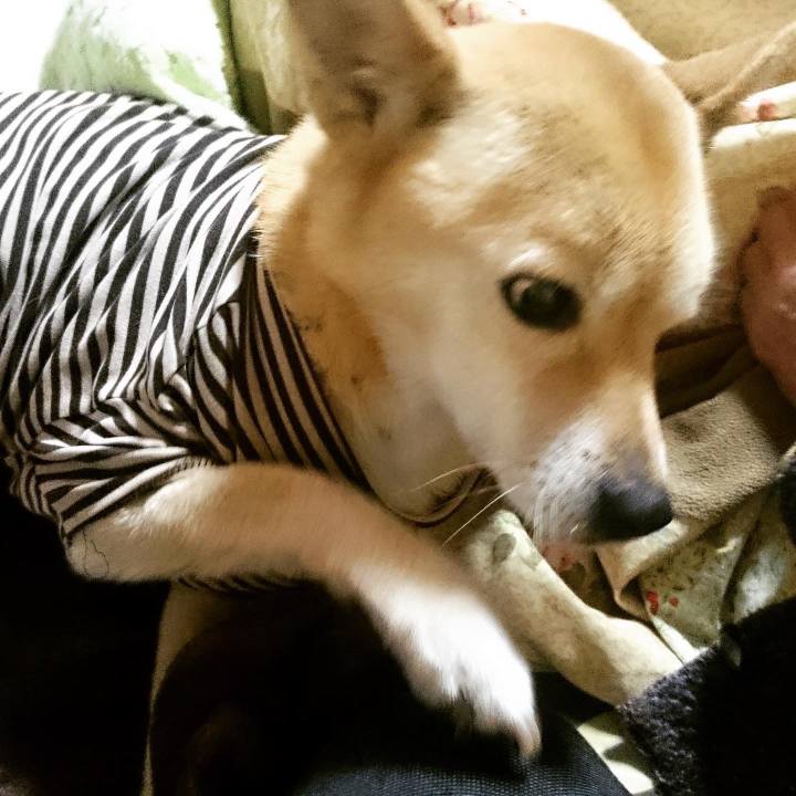 Ff37ebc7 5372 40ec aba2 68a07a6f49f9 1598616567880