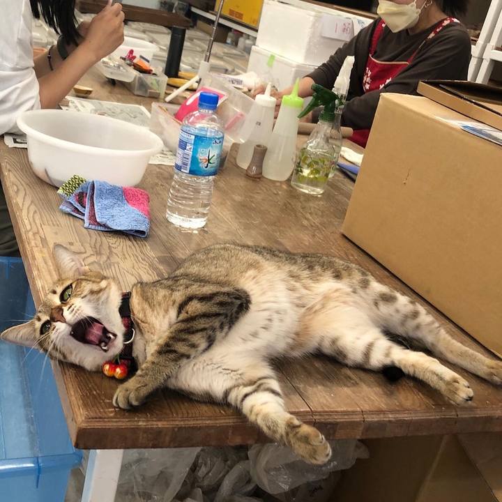 Ff37f4aa a2c1 435a 9228 0e46d0a1926a 1651210185894