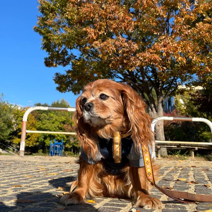 Ff381cb9 3f2c 40cf 968b a27323d8b1e3 1763116287783