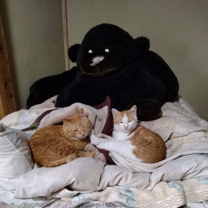 Ff3844dd 5207 4230 ba79 adeff113e4ec 1745822868382