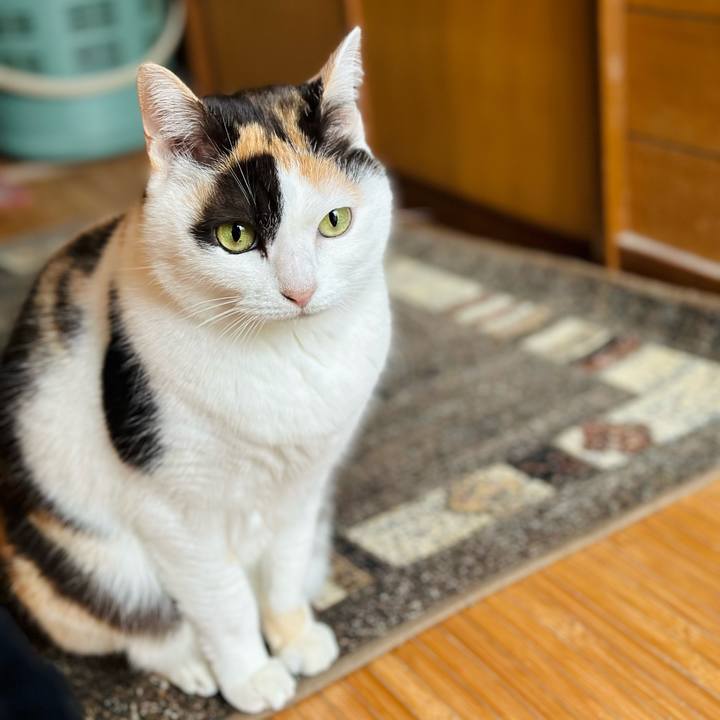 Ff38618e 3ad5 4b0c b3c0 0ef4df7e470b 1674697658951