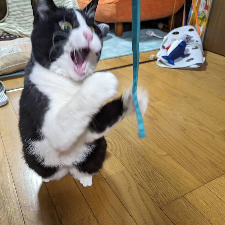 Ff38cb46 b2b6 4cbe 95bf b24e35a18084 1702712158930