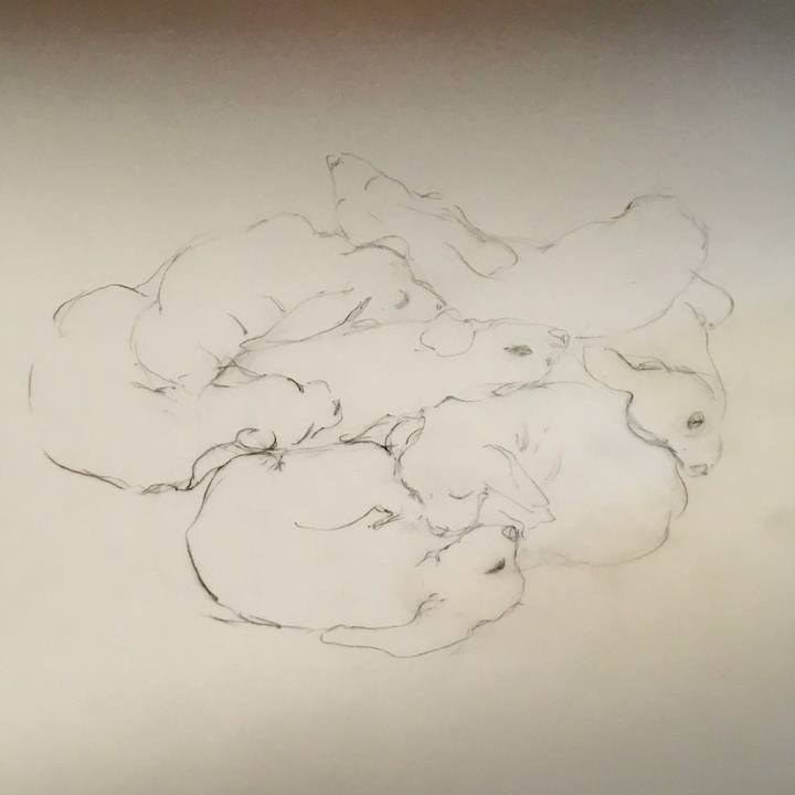 Ff38d716 fe58 466f b557 2ff8470dc80c 1611592506956