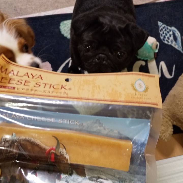 Ff3904bf 01f1 4d90 bba4 b280bf8030e8 1596805522389