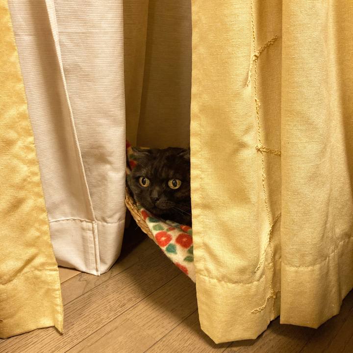 Ff390be8 2b86 4e93 b040 bd31932a75ae 1590240477739