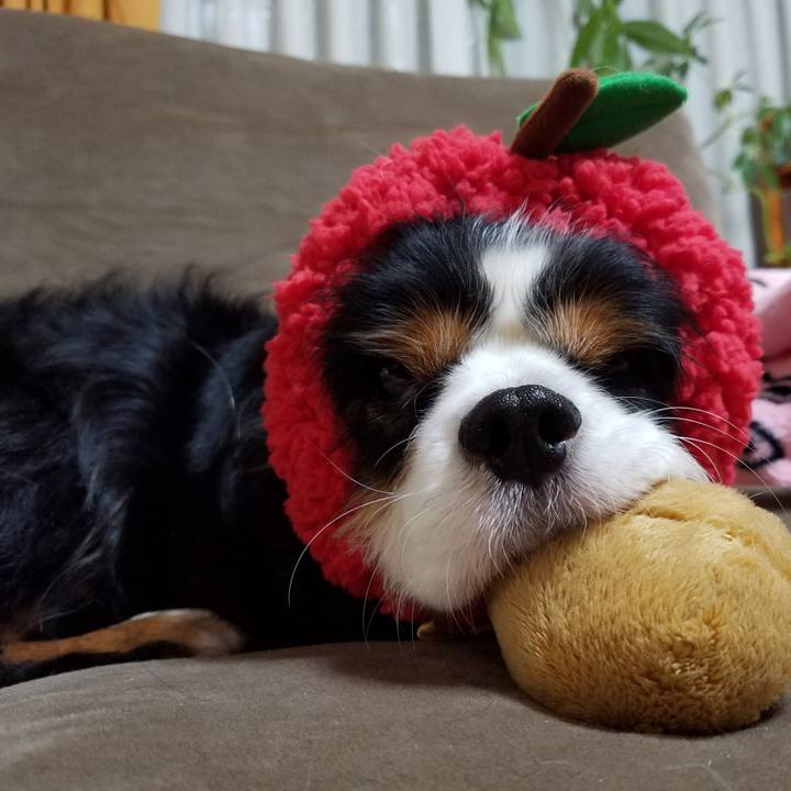 Ff397a21 4dce 4a28 8a85 c895c6eafd54 1510232256216