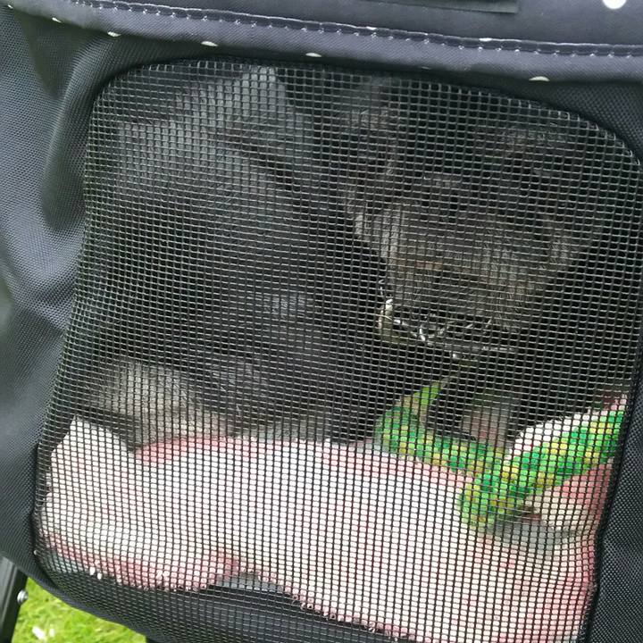 Ff3999b6 c947 49f5 aa48 179aaa50a7c4 1533305200962