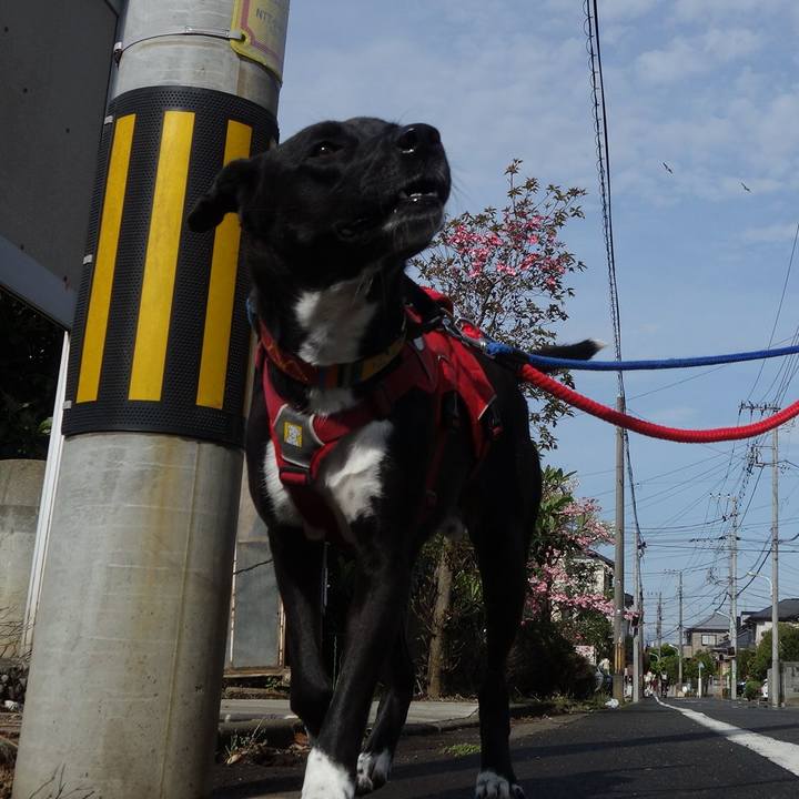 Ff39b3eb 6869 4032 9132 b4937977fba4 1587432095360