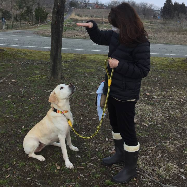 Ff39c9f6 c22a 4eb4 a93f 12f5332e6e2d 1547986797154