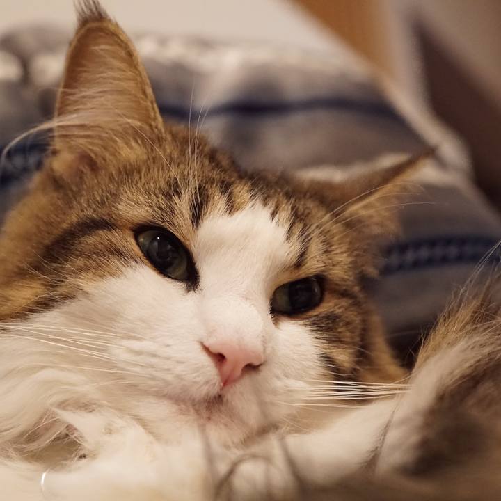 Ff39cfad ac0a 45c0 9981 7c4bd0eb31b4 1575122690587