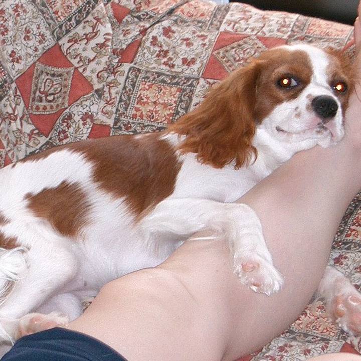 Ff39d2ae b528 4eff b23b a449064945f4 1518948660967