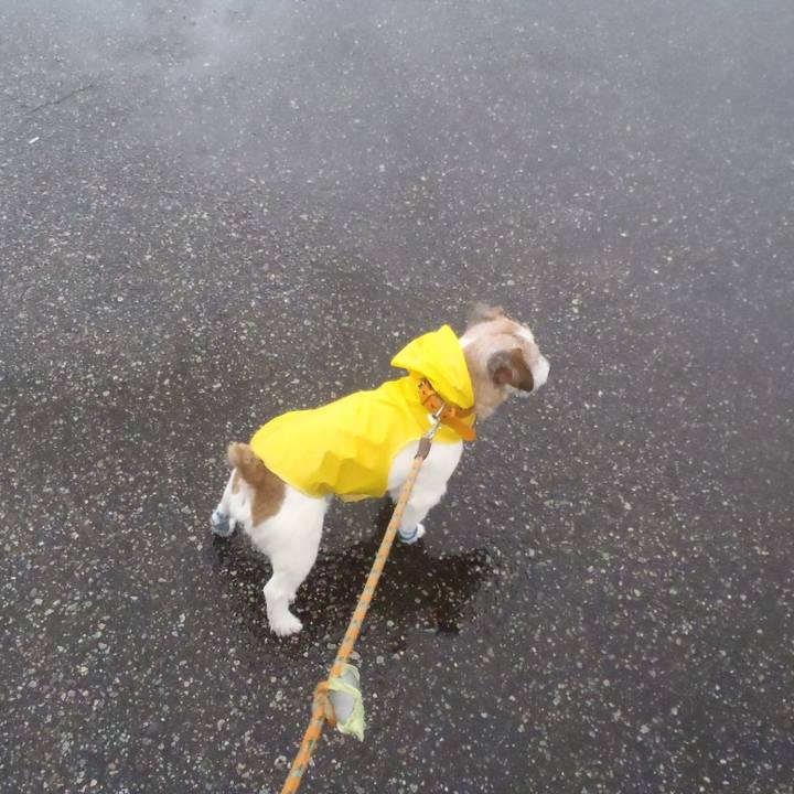 Ff39e1b1 68d1 4322 bd6a fa281254ba6b 1547970253559