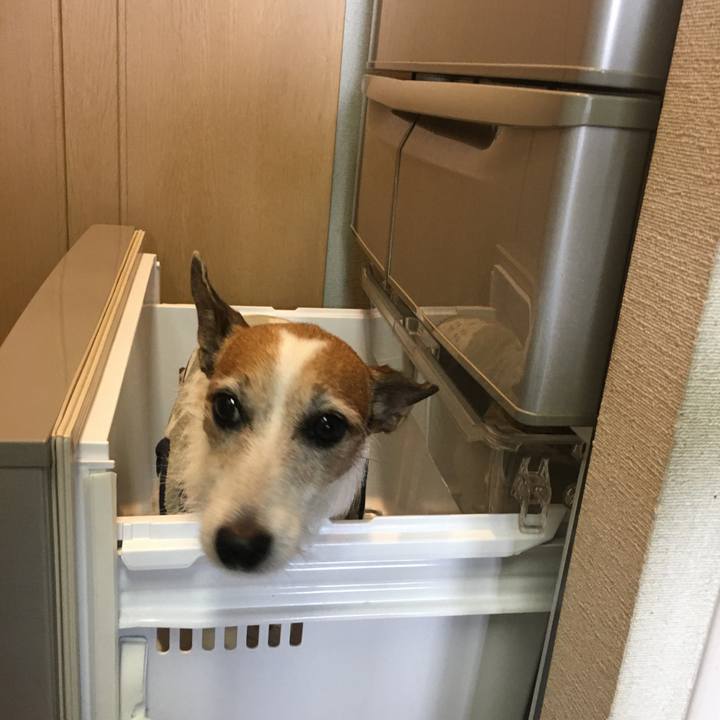 Ff39f04c ce17 4936 90b1 57f1277befb0 1636068583785