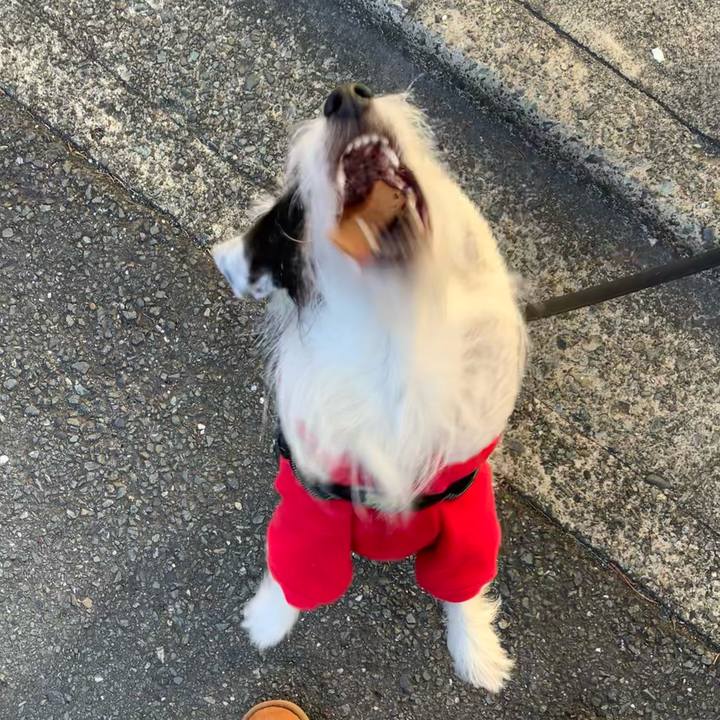 Ff3a32d8 c0f0 43b8 bed8 e7a865340b0c 1703207650956