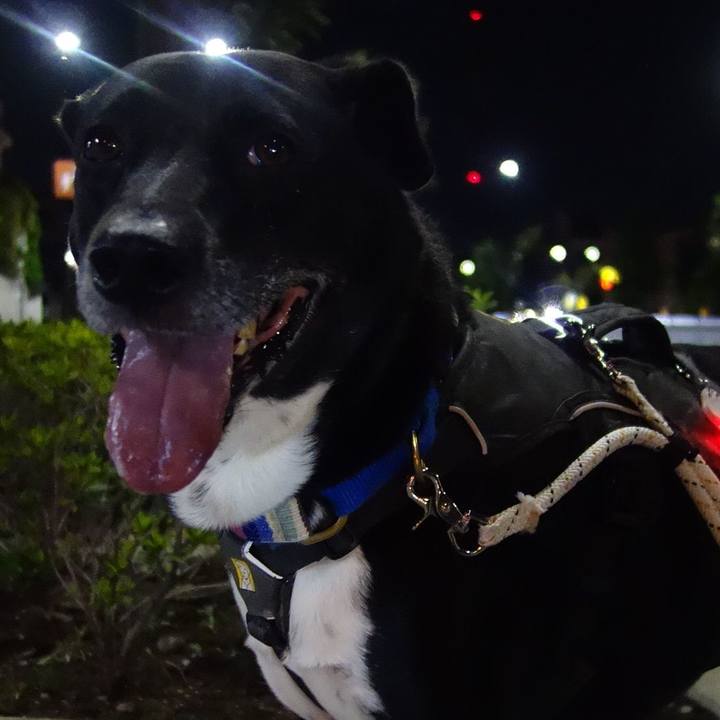 Ff3a980b 6190 45b3 8bfb 83e3110d2b65 1664707494223