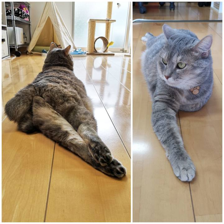 Ff3ad6ab dcd7 4fba 9631 25ca91cc4e31 1595932373476