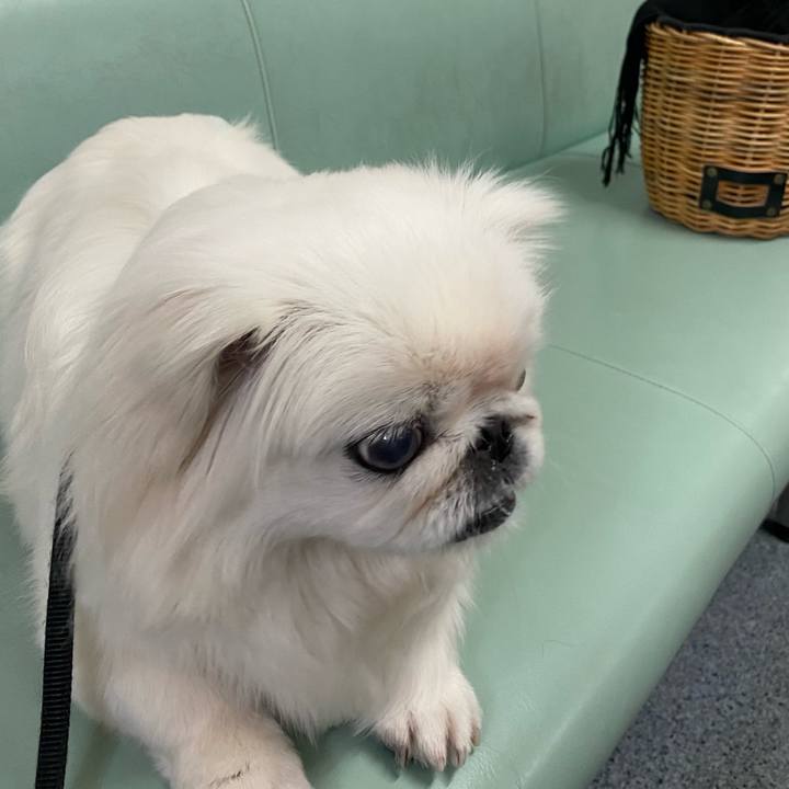 Ff3b39b9 92a2 496f abde 49225fa65468 1686207595495