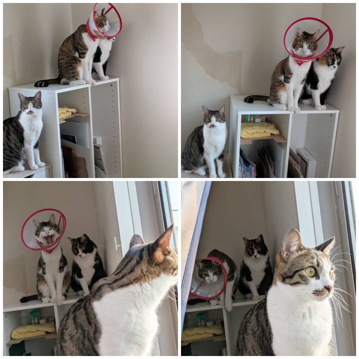 Ff3b5406 1293 46da 81ef e033a7d0b4fb 1772086161650