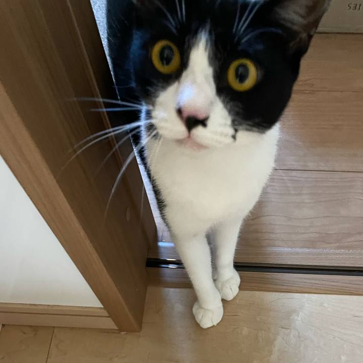 Ff3b64f3 2a34 4b5a b9b1 d5a69648350d 1691970995367