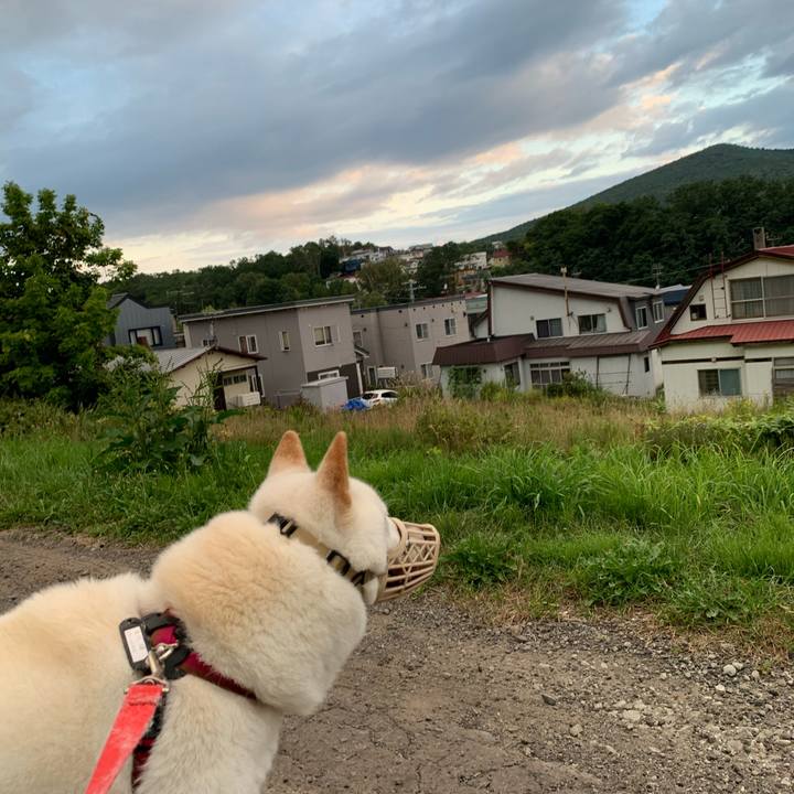 Ff3b68ef aadf 4b6c 9d72 484c342bc3ef 1598651222819