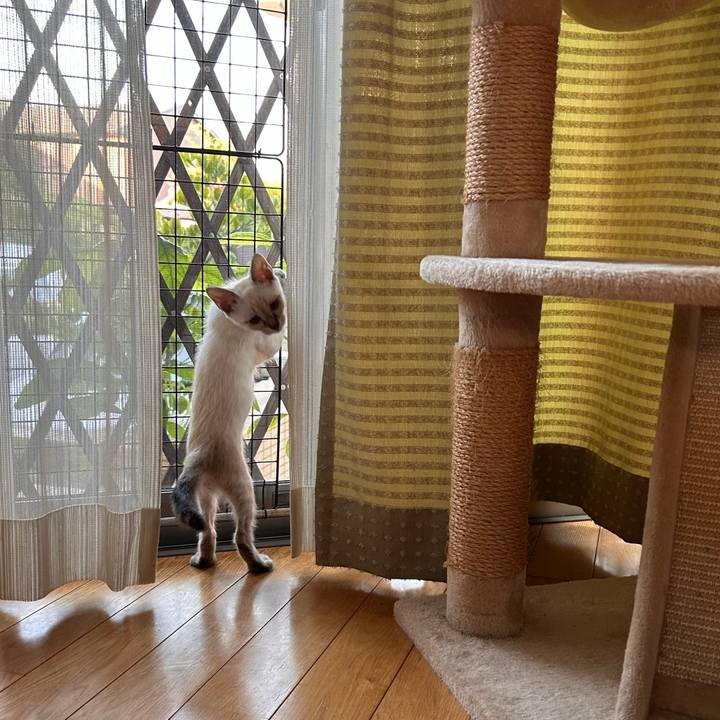 Ff3b8ce7 5437 4021 b82d 44886271e533 1722127497437