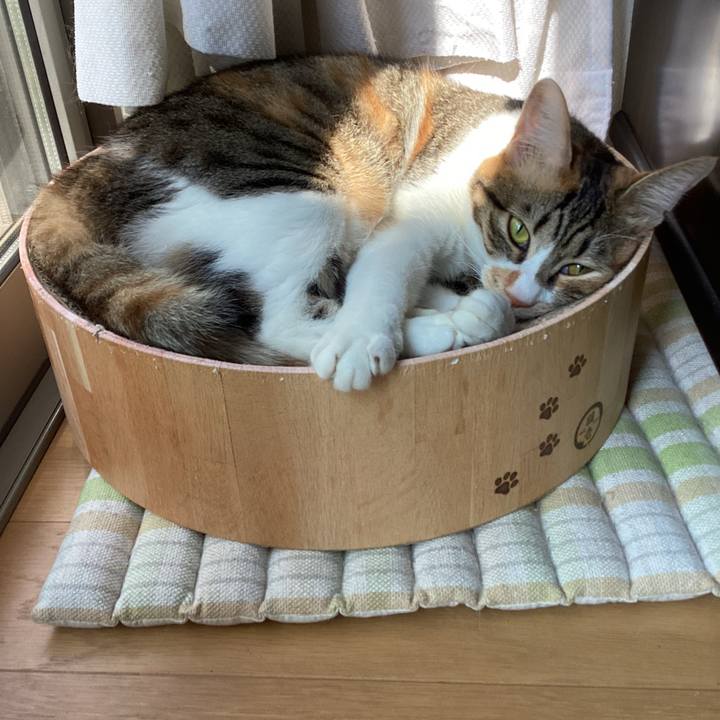 Ff3bb04f 68de 4a9f 8096 d563923a0acc 1690501645417