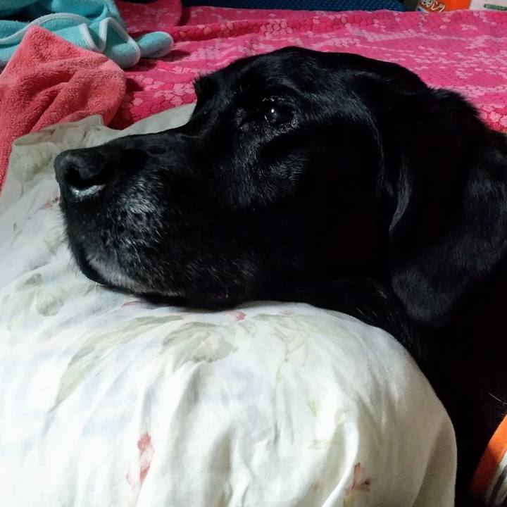 Ff3bf1c4 9cb0 474c a996 81a7db11eb66 1719534559657