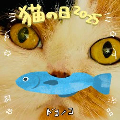 Ff3c022d ee55 4f54 a5a2 5cb77e0ed69b 1740191856555