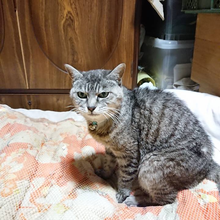 Ff3c15b0 2329 4c33 affa 1abbf0aee72c 1570971896723