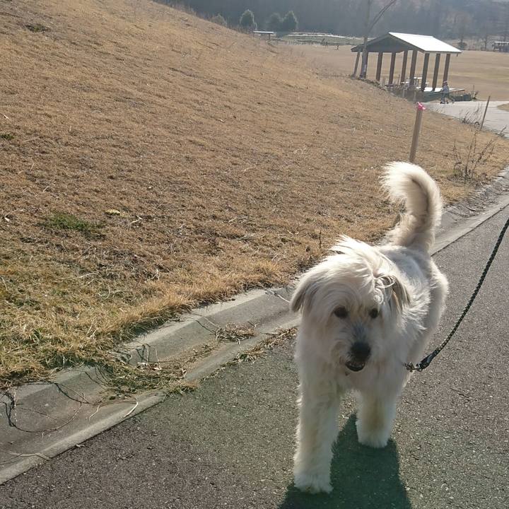 Ff3c1ada 4420 4896 a62b 11954a454a56 1583578496277