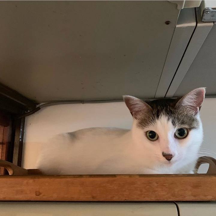 Ff3c2175 a60f 49bc b682 82ea584ec8a6 1568288012064