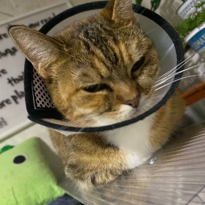 Ff3c6dac 9686 4ad8 a233 bbacfd227621 1633095587817