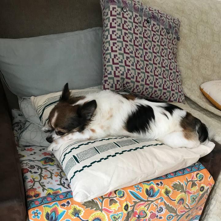 Ff3c8a66 73c3 455e b15f 26ec32e87c43 1534648062151