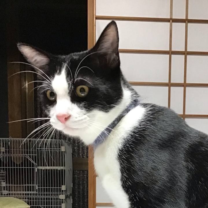 Ff3cc6e4 8107 40e1 b6e6 ccb3de14e70c 1637573894065