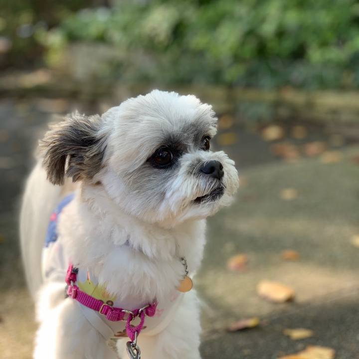 Ff3ccbe1 fafa 4ca6 99ac 22ccee6ef12b 1568265925238