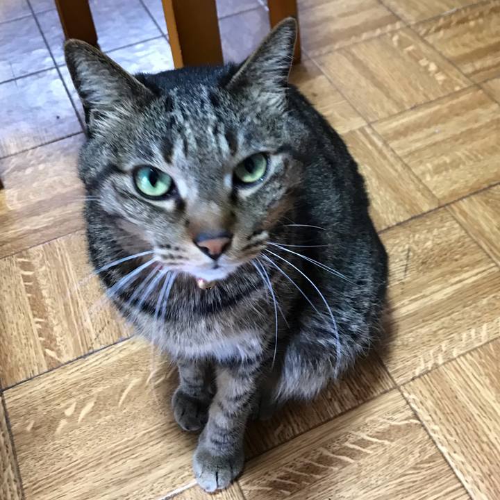 Ff3ceca3 a257 4a42 81aa 8c0f92cbb15c 1553419759121