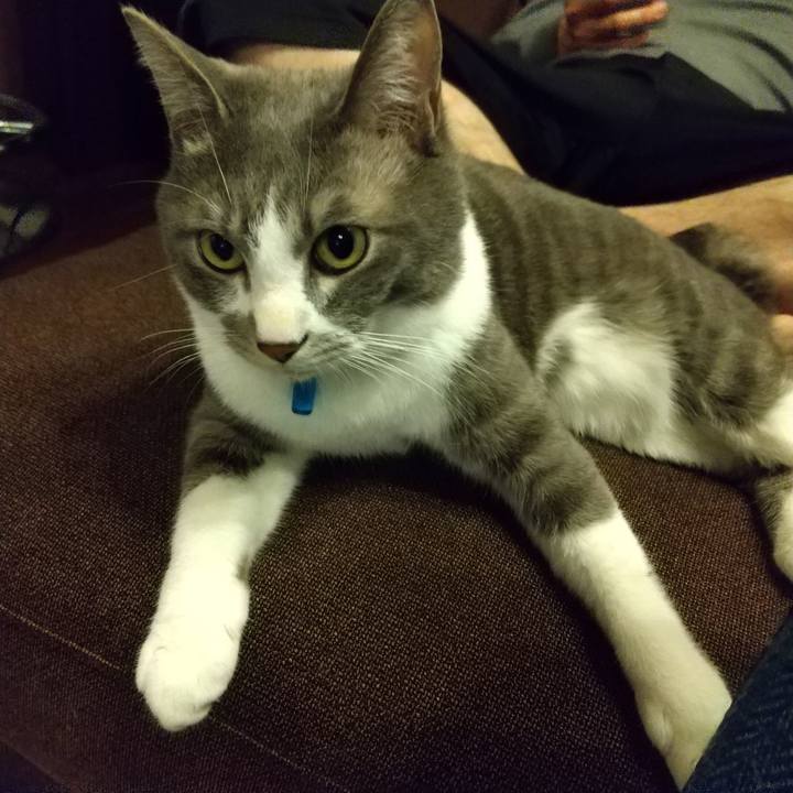 Ff3d2dcf 158c 499d bb7f e492d0ceef3a 1614343698235