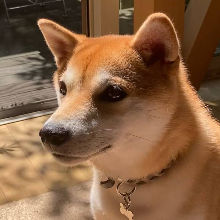 Ff3d3e19 d694 4a10 a2aa ef86f614dcbb 1664071670448