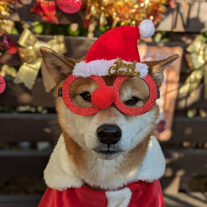 Ff3d68d1 641b 4374 824f 1d417259ad30 1703496748855