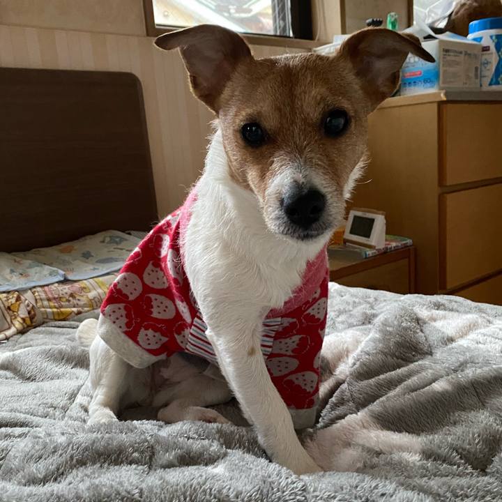 Ff3d7485 b68f 43a3 9b17 bcfb20be6375 1582762123792