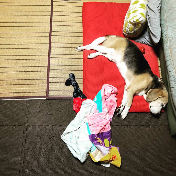 Ff3db35f b52f 4be5 beb2 a1b0f6b3d2b6 1535449236213