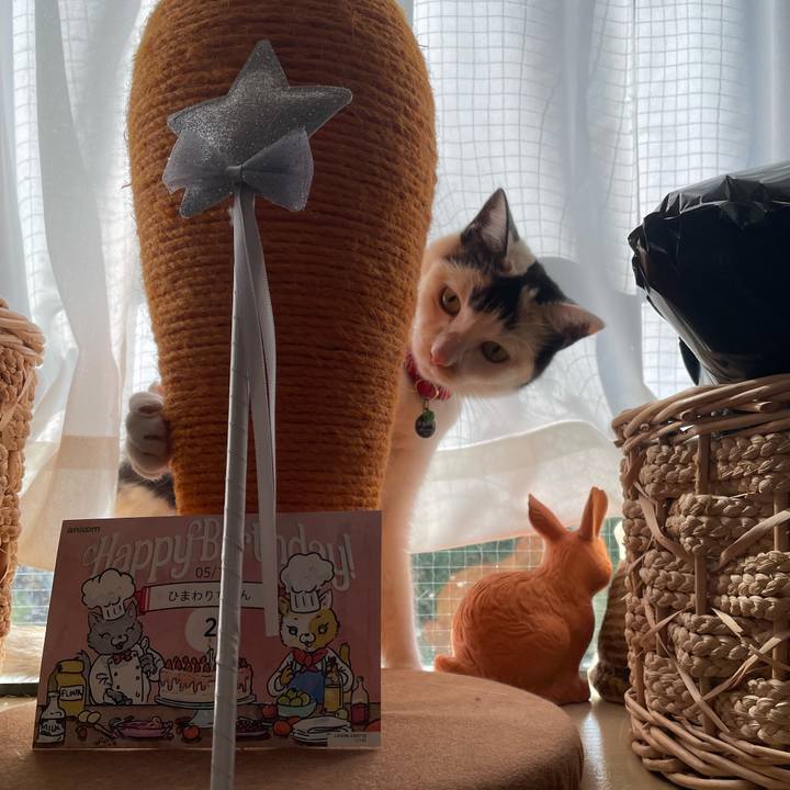 Ff3dbd73 87d1 4d43 b6a6 e2f198774c77 1715900889595