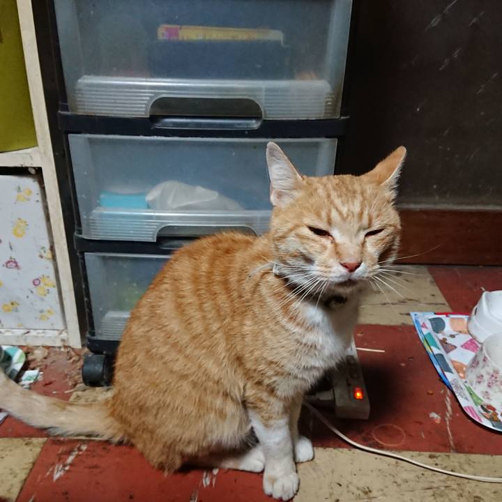 Ff3dee96 7c2f 4189 8d4f 513f59d8eda3 1592076069824