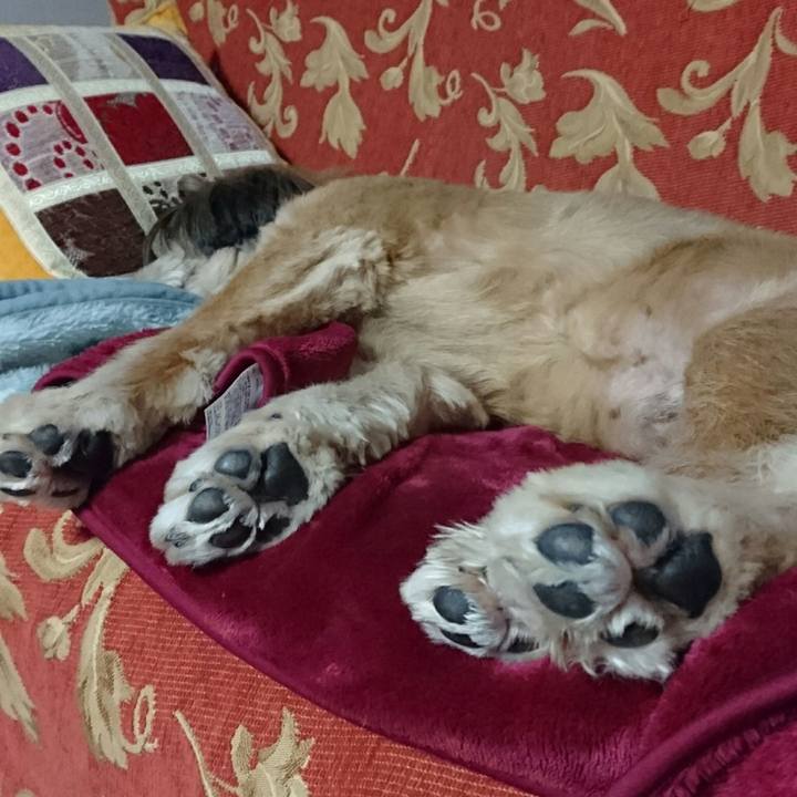 Ff3e1149 0073 41bd 886a 36e74280654d 1511094266022