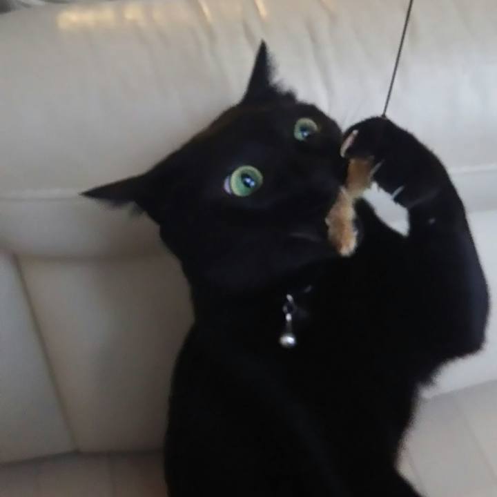 Ff3e3f57 3c09 4f77 be0d 3aee4daa36f0 1530917723018