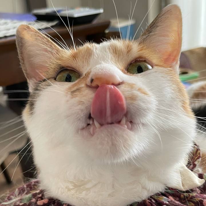 Ff3e772b 3c52 4f47 93a6 2472d0032136 1751171298478