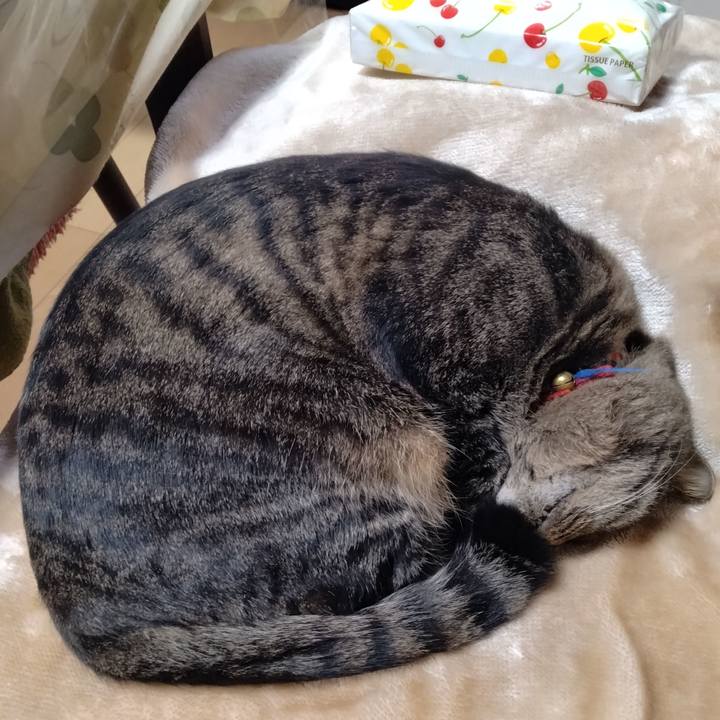 Ff3e975c f008 4204 82dc a42b3440bbad 1703397210966