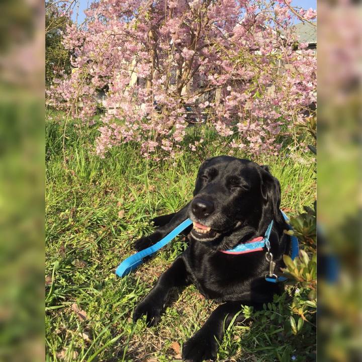 Ff3ec485 7231 4943 bb4c b3f4d3078082 1512563911281